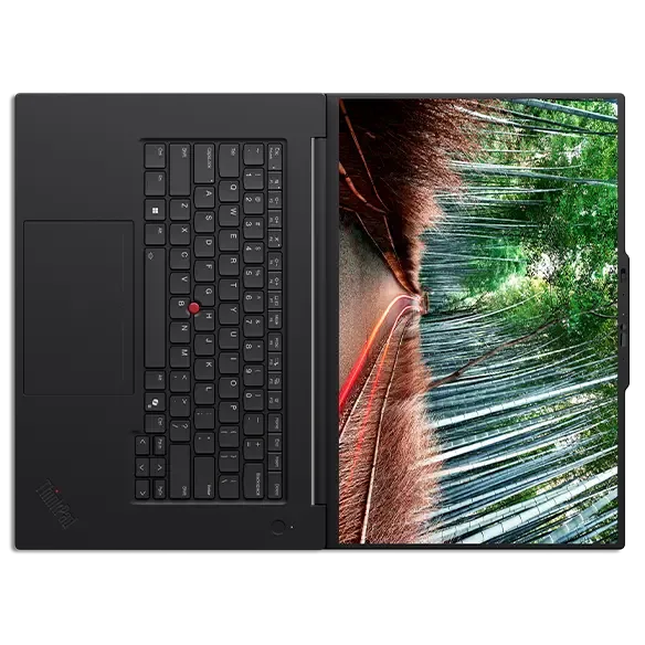 Lenovo ThinkPad P1 Gen 8 21Q8CTO1WWUS2 - мобильная рабочая станция 16 Lenovo ThinkPad P1 Gen 8 21Q8CTO1WWUS2 - мобильная рабочая станция 16